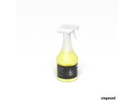 CleanBasic 1 litres en aérosol